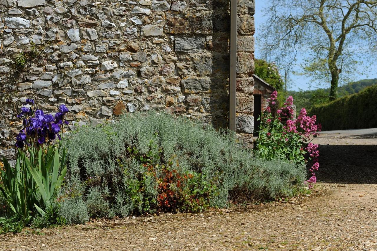 Trill Cottage Musbury Exterior photo